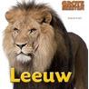 Leeuw by Stephanie Turnbull