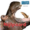 Nijlpaard door Stephanie Turnbull