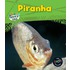 Piranha