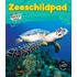 Zeeschildpad