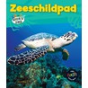 Zeeschildpad door Louise Spilsbury