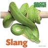 Slang by Stephanie Turnbull