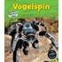 Vogelspin