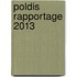 Poldis rapportage 2013