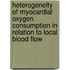 Heterogeneity of myocardial oxygen consumption in relation to local blood flow