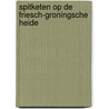 Spitketen op de Friesch-Groningsche Heide door Simon Hoeksma