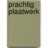 Prachtig plaatwerk door Frank van der Heul