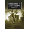 Bezeten stad by Stephen King