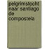 Pelgrimstocht naar Santiago de Compostela