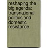 Reshaping the big agenda: transnational politics and domestic resistance door Yulia P. Krieger