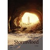 Stormvloed - grote letter uitgave door Corine Hartman