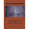 Bliksem in mijn hoofd door Myriam Sperans