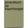 Amersfoort op Haanhoogte door Jan Carel van Dijk
