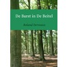 De Barst in De Beitel door Roland Derveaux