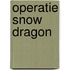 Operatie Snow Dragon