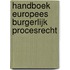 Handboek Europees burgerlijk procesrecht