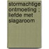 Stormachtige ontmoeting ; Liefde met slagaroom