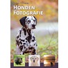Hondenfotografie door Femke Puijman
