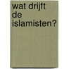 Wat drijft de islamisten? door Wilmos Oosterhoff