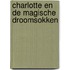 Charlotte en de magische droomsokken