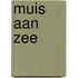Muis aan zee