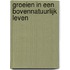 Groeien in een bovennatuurlijk leven