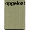 Opgelost door Manon Boot