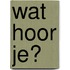 Wat hoor je?
