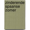 Zinderende Spaanse zomer door Penny Jordan