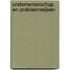Ondernemerschap en probleemwijken