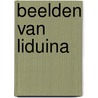 Beelden van Liduina door Ruud Poels