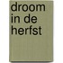 Droom in de Herfst