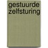 Gestuurde zelfsturing