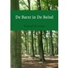 De barst in de beitel door Roland Derveaux