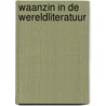 Waanzin in de wereldliteratuur by Pieter Steinz