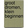 Groot dromen, klein beginnen door Ilse Crooy