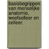 Basisbegrippen van menselijke anatomie, weefselleer en celleer.