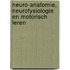 Neuro-anatomie, neurofysiologie en motorisch leren