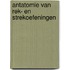 Antatomie van rek- en strekoefeningen