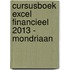 Cursusboek Excel Financieel 2013 - Mondriaan