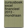 Cursusboek Excel Financieel 2013 - Mondriaan by D. Knetsch