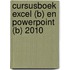 Cursusboek Excel (B) en PowerPoint (B) 2010