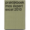 Praktijkboek MOS expert Excel 2010 door A. Timmer