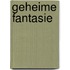Geheime fantasie