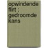 Opwindende flirt ; Gedroomde kans