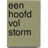 Een hoofd vol storm by Huib Fens