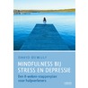 Mindfulness bij stress, burn-out en depressie door David Dewulf