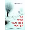 De weg van het water door Trudi Rijks