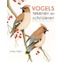Vogels tekenen en schilderen