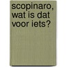 Scopinaro, wat is dat voor iets? door Christiaan R.J. Bosman